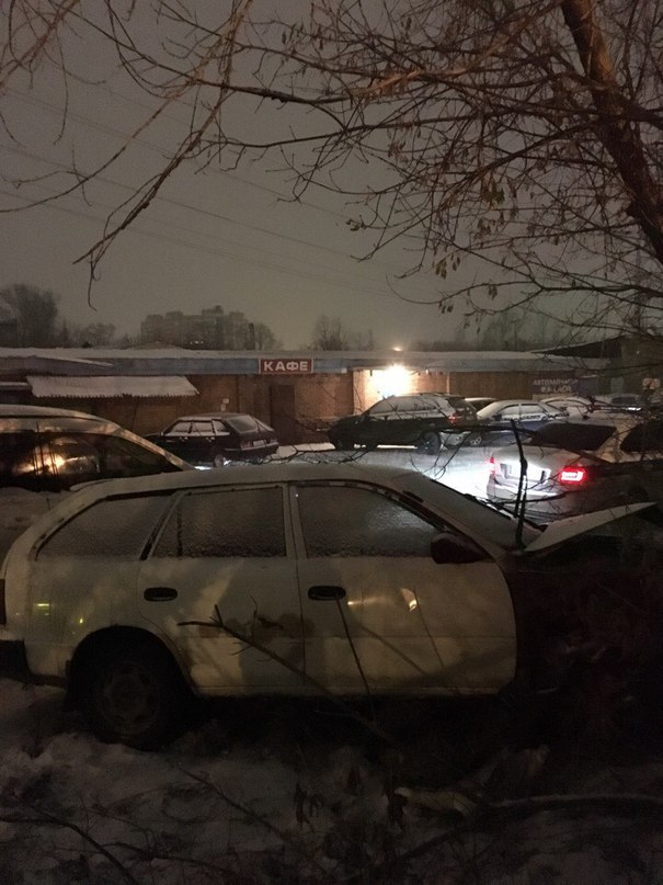 В Омске дерево помогло поймать веселую женщину за рулем (фото) В Омске дерево помогло поймать веселую женщину за рулем (фото)