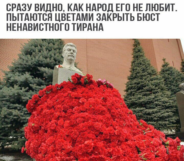 Hq-FsWs_kKA.jpg