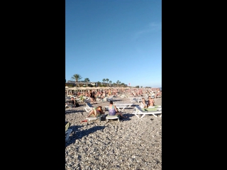 Plaj mnogo luti yest