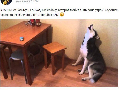 Привет, ребята!