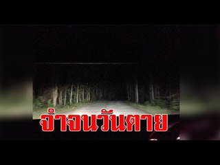 สาวใช้บริการคนขับรถ ใช้รูปโปรไฟล์ หญิง&