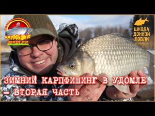 Ловля зимнего карпа в Удомле. Часть 2
