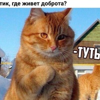 Светлана Мыц | 