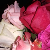 Галина Некрасова