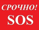 Объявление от Ольга - фото №1