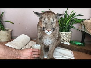 Как