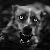 Никита Попелов