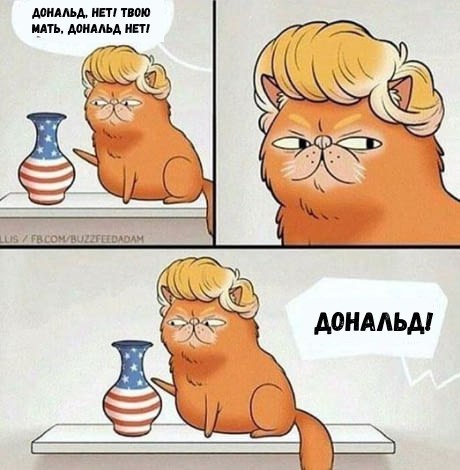 https://pp.userapi.com/c840324/v840324600/31e65/OFgfbas00GA.jpg