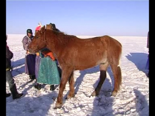 Конные скачки у шинэ-баргутов 2008г 02.09.
