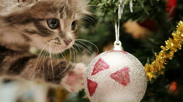 Фото: Новогодние скидки до 12%<br>ЖК 