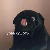 Анна Рогожина