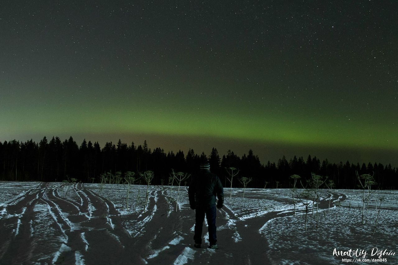 Северное сияние в Ленобласти попало на фотографии петербуржцев