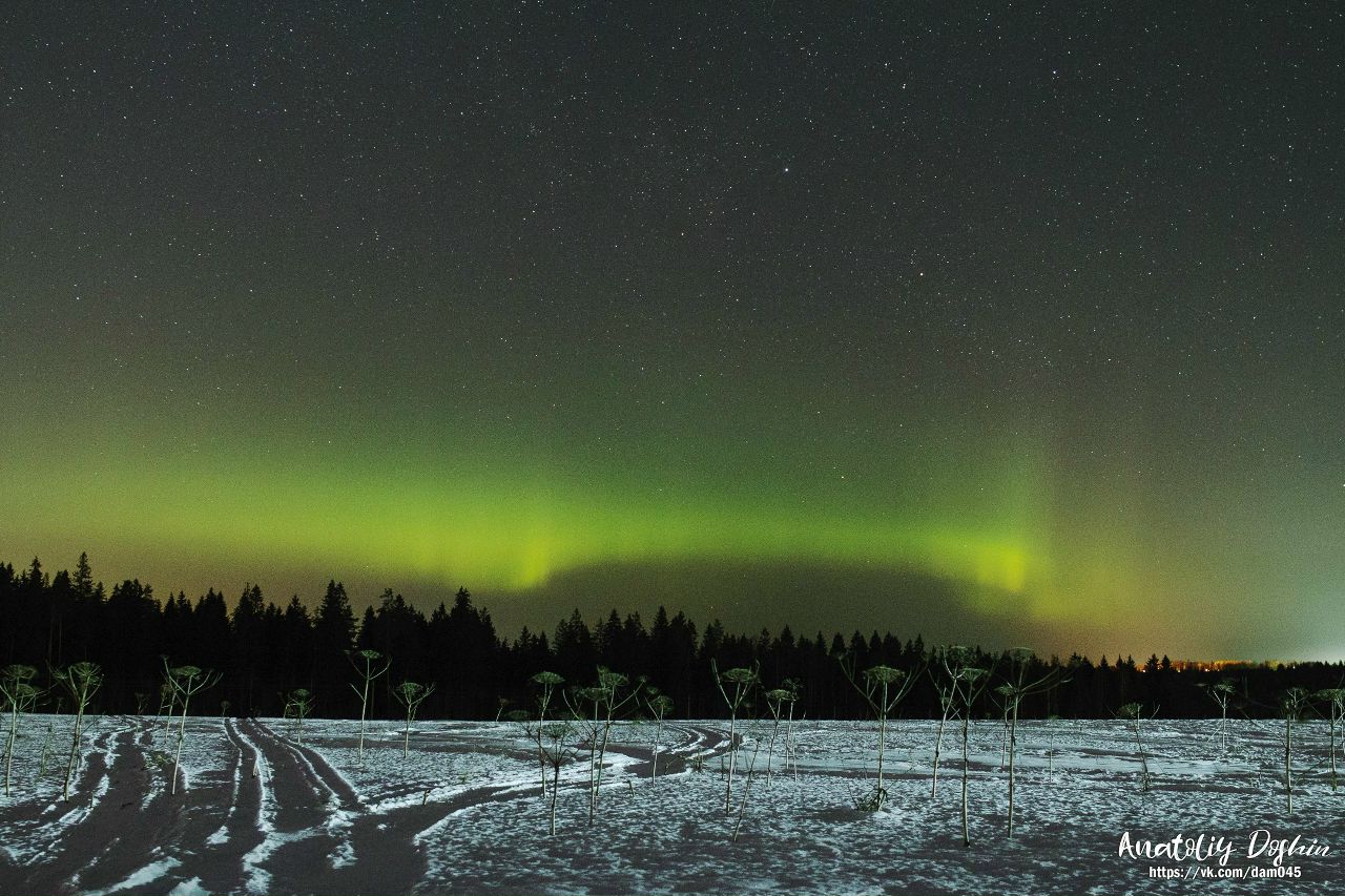 Северное сияние в Ленобласти попало на фотографии петербуржцев