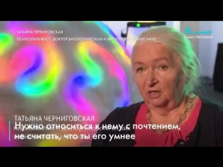 Татьяна Черниговская_ «Мозг должен всегда работать и учиться»