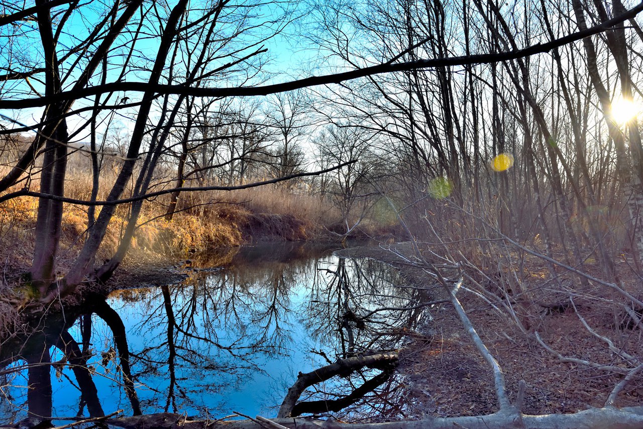 каждый кулик хвалит свое болото. А вы хвалите место, где живете ...