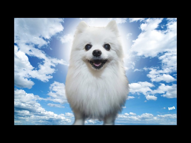 Top 10 Gabe the dog bork remixes
