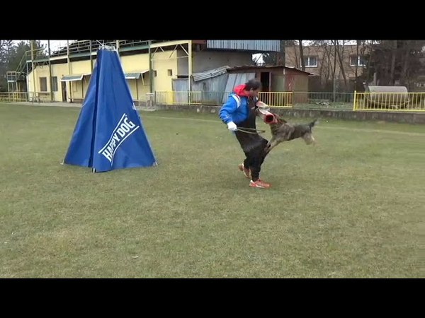 Wabi Vikar - trenink na bonitaci