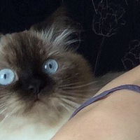 Настя Лещинская  [NekoMaon]