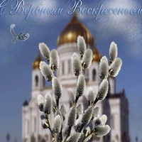 Светлана Светлана