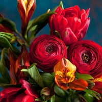 Елена Верхотурова | Ижевск