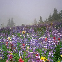 Наталия Воробьева-Безрукова