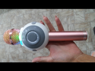 Колонка с функцией Караоке Микрофона Wster WS-878 (USB, microSD, AUX, FM, Bluetooth)