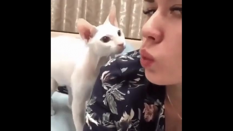 naturalnaya-kiska-video-porno-foto-rakom-v-chulkah