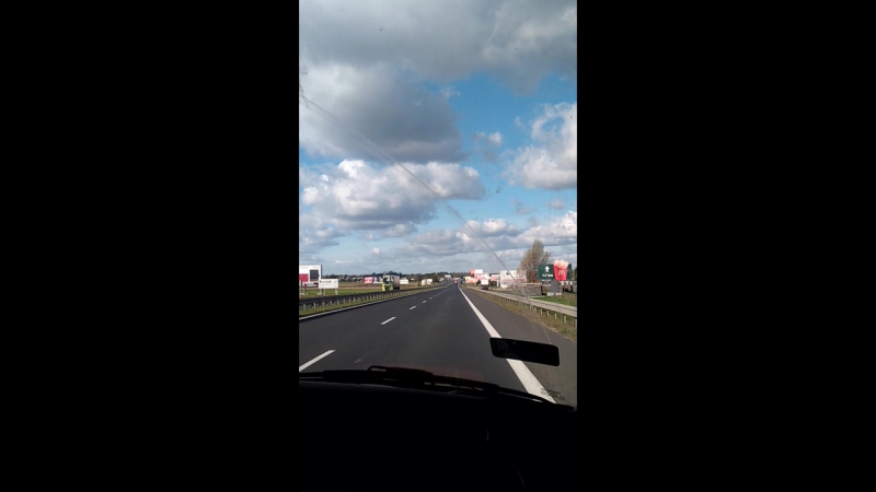Ptak