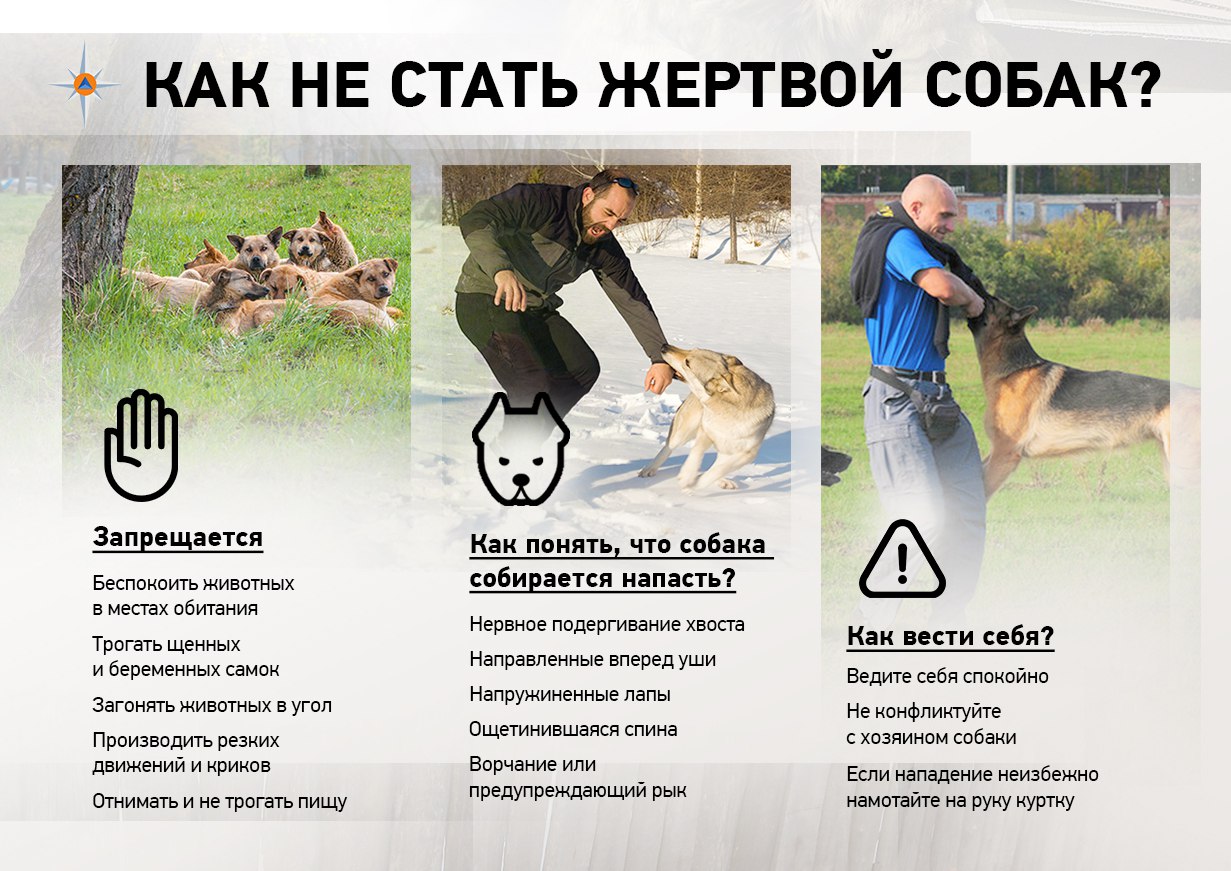 ОГПС Приозерского района