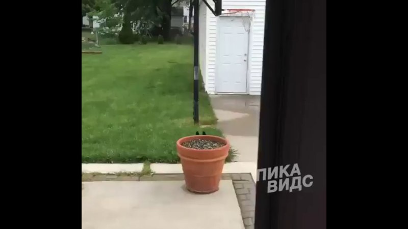 Таша, ты где