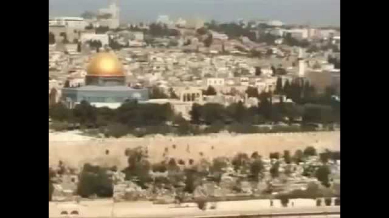 Mark Tishman - Jerusalem