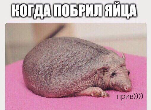 S69PNnS2G5o.jpg