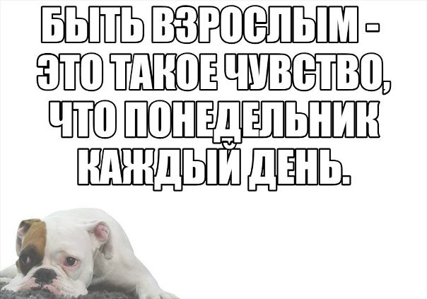 #доброеутро #понедельник #жизненно #мем