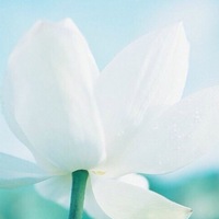 Лилия Артёменко