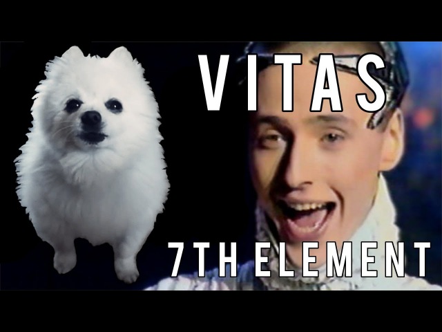 VITAS - 7TH ELEMENT em CACHORRÊS