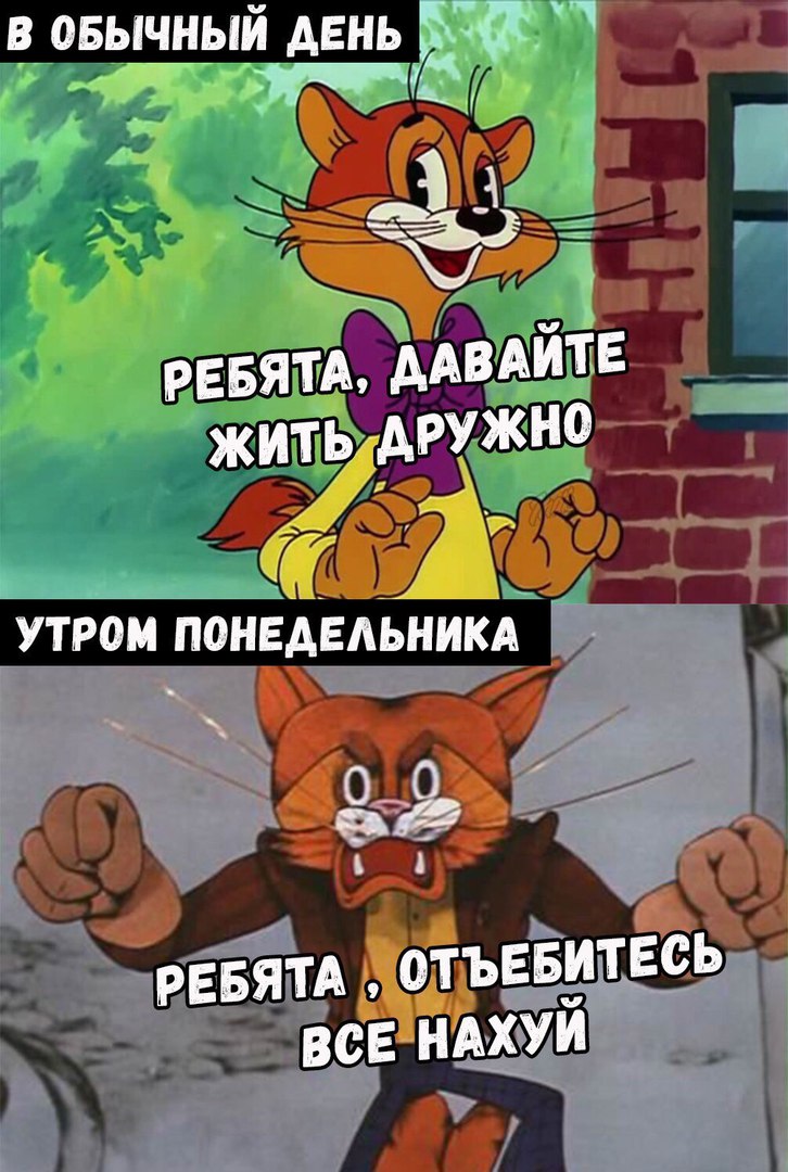 Кот леопольд прикол