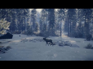 Трейлер новой территории Медвежья тайга для игры theHunter: Call of the Wild!