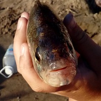 Михаил Виноградов | Москва