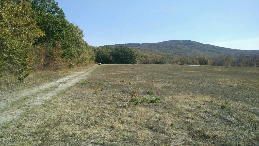 https://pp.userapi.com/c840423/v840423772/12041/a8_2rawqWV4.jpg