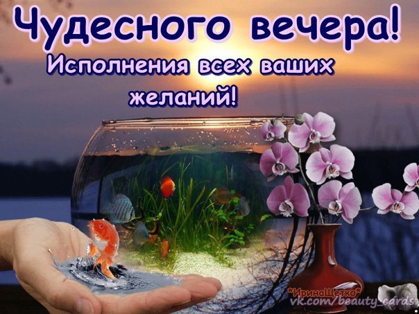 https://pp.userapi.com/c840424/v840424536/4fdbe/sc1AZRJ95YI.jpg