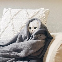 Елена Акулова