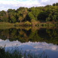 Андрей Шавырин | Луганск
