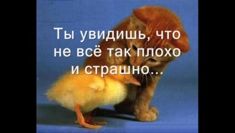 миленько и симпатичненько