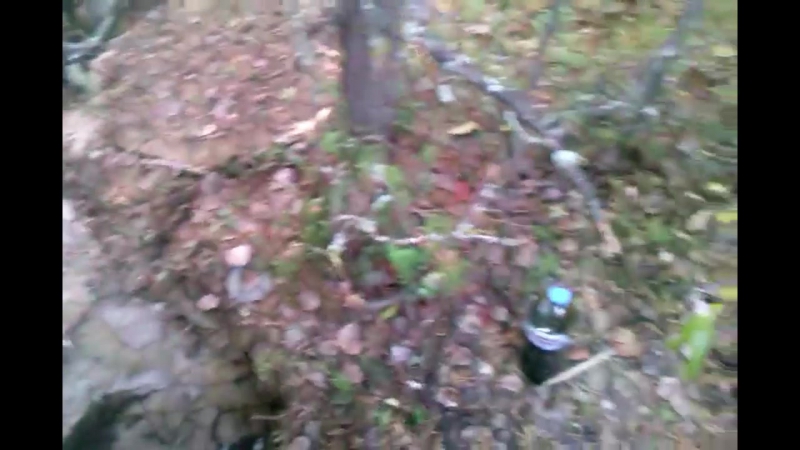 Popitka_krazhi_nefti