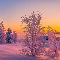 Нина Кондратьева | 
