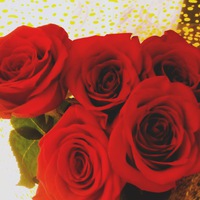 Дарья Беликова | Бутурлиновка