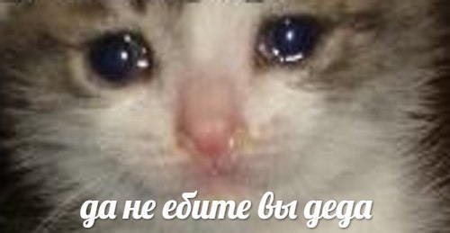 AsZmceF-cG4.jpg