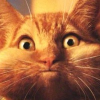 Роман Пищиков