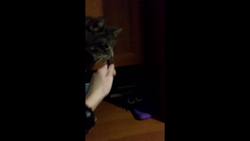 VID_20180104_200725
