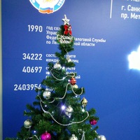 Тина Шаваева